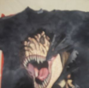 Dinosaur shirt